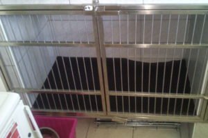 dvierka na veterinárske klietky